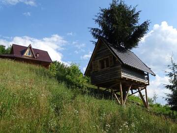 Фото номера Дом для отпуска Лоджи CĂSUȚA VÂNĂTORULUI г. Вишеу-де-Жос 9