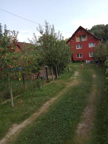Фото номера Вилла с 3 спальнями Виллы Casa Coman Vișeu г. Вишеу-де-Жос 8