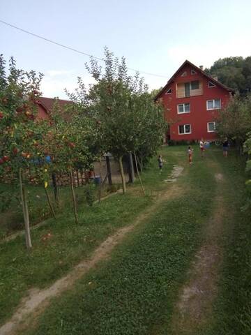 Фото номера Вилла с 3 спальнями Виллы Casa Coman Vișeu г. Вишеу-де-Жос 15